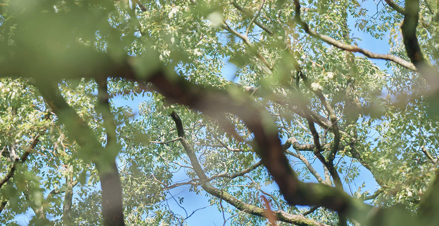 三重県津市の美容院 美容室hopes